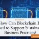How Can Blockchain Be Used to Support Sustainable Business Practices?