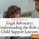 Understanding the Role of Child Support Lawyers