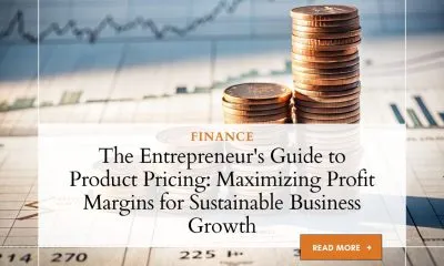 The Entrepreneur's Guide to Product Pricing: Maximizing Profit Margins for Sustainable Business Growth 2 Entrepreneur calculating profit margins and optimizing product pricing strategy