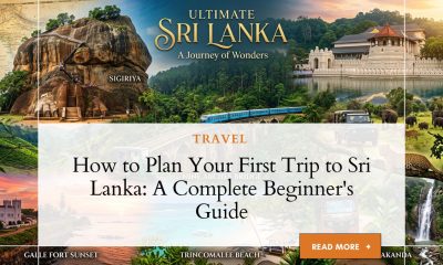 Scenic Sri Lanka landscape with tea plantations and train viaduct, first trip to Sri Lanka